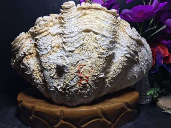 TLS贏得蘇州獅山公園景觀設(shè)計項目‘beat365’